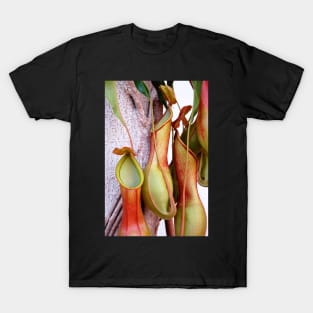 Pitcher Plants T-Shirt